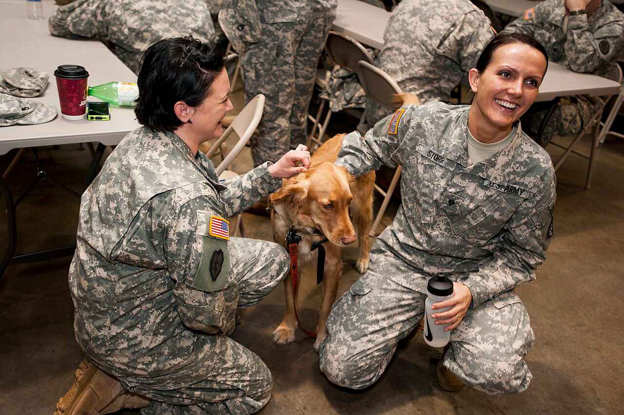 Staff Sgt. Mary Junell, Public domain, ia Wikimedia Commons